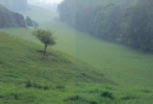 The lush greenery of Tennyson\'s country, the Wolds of Lincolnshire.