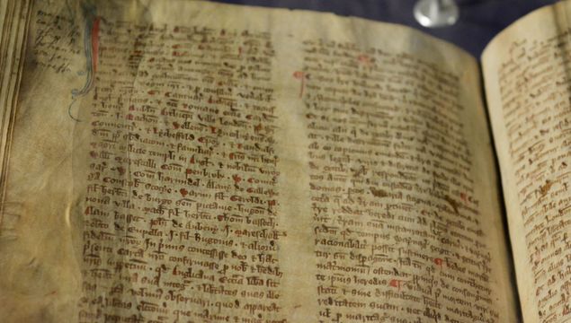 A copy of the Magna Carta can be seen in Christ Church, Dublin, Ireland.