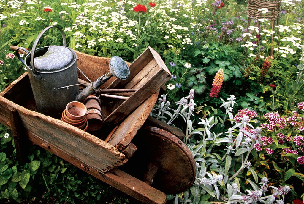 How to plant an english country garden
