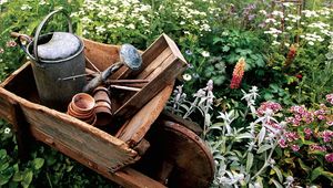 How to plant an English cottage garden?
