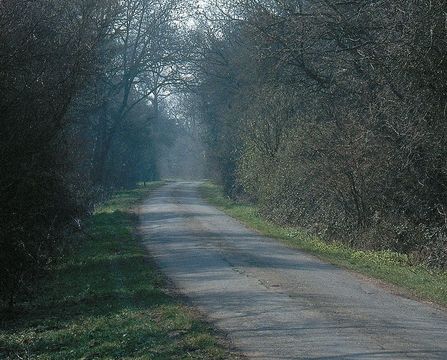 The Great North Road.