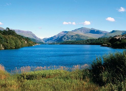 Snowdonia, Penrhyndeudraeth, Wales.