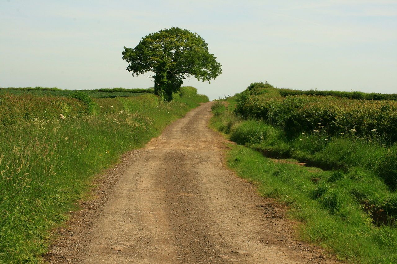 Follow the Roman road explore the Fosse Way