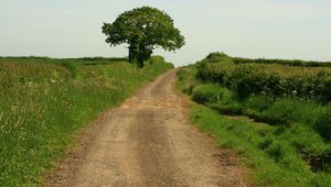 Follow the Roman road, explore the Fosse Way