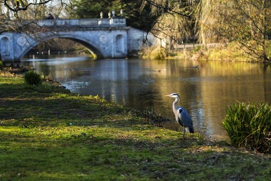 Chiswick