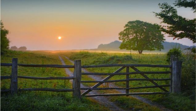 Badbury rings, near Wimborne Minster, Dorset, England