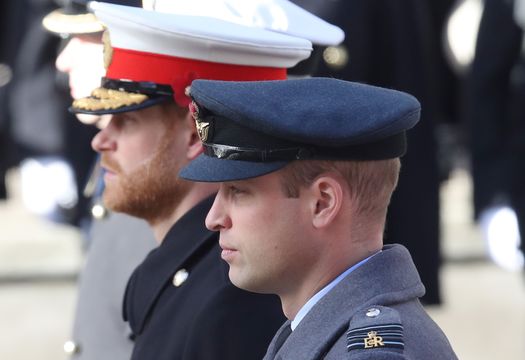 Prince Harry, Duke of Sussex and Prince William, Duke of Cambridge during the annual Remembrance Sunday memorial on November 11, 2018 in London, England.