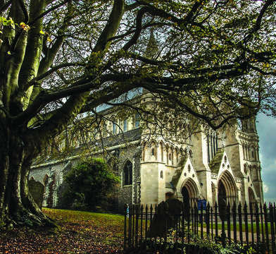 St. Albans Cathedral.