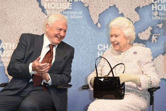 Queen Elizabeth II presents the Chatham House Prize 2019 to Sir David Attenborough at the Royal institute of International Affairs, Chatham House on November 20, 2019 in London Colney, England. (Photo by Eddie Mulholland - WPA Pool/Getty Images)