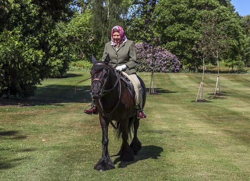  Issue date: Sunday May 31, Queen Elizabeth II rides Balmoral Fern, a 14-year-old Fell Pony, in Windsor Home Park over the weekend of May 30 and May 31, 2020 in Windsor, England. The Queen has been in residence at Windsor Castle during the coronavirus pandemic. (Photo by Steve Parsons - WPA Pool/Getty Images)