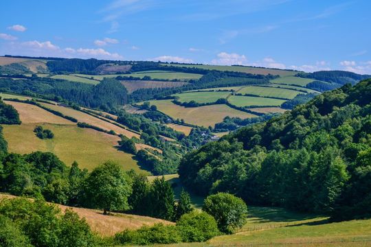 The countryside in west Somerset.