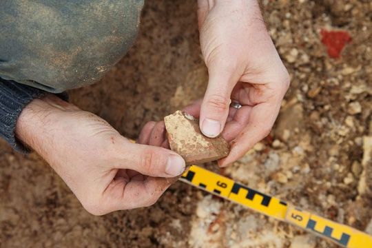 Archaeologist