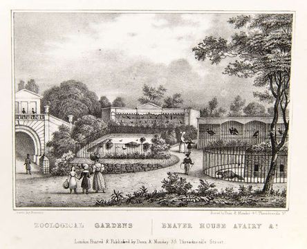 An illustration of London Zoo in the 1800s.
