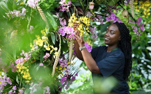 Apprentice Yasmin Akrofi-Rollock poses in an archway of orchids during a press preview of the Thai Orchid Festival at Kew Gardens on February 8, 2018 in London, England.