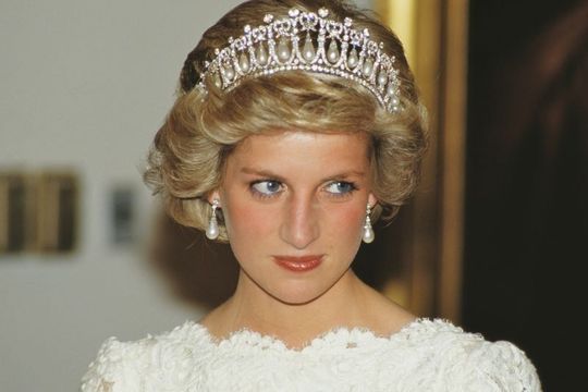 Princess Diana was criticized by the Irish ambassador to London for her \"ignorance of\" Northern Ireland, in a recently declassified document.