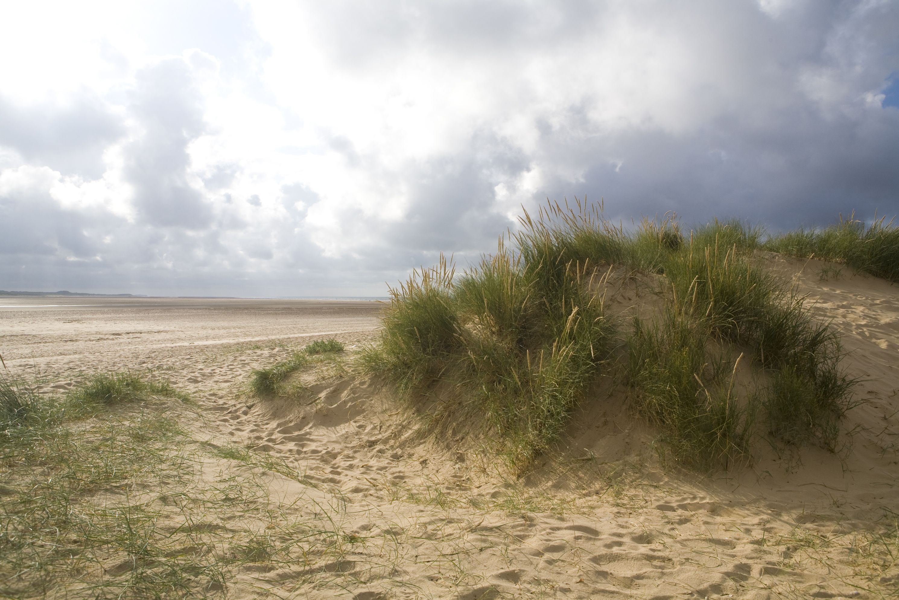 'Evening light shot of the barrier dunes and dune grass at Holkham, Norfolk.Image taken with polarising filter to boost colour and saturation.More Norfolk images at'