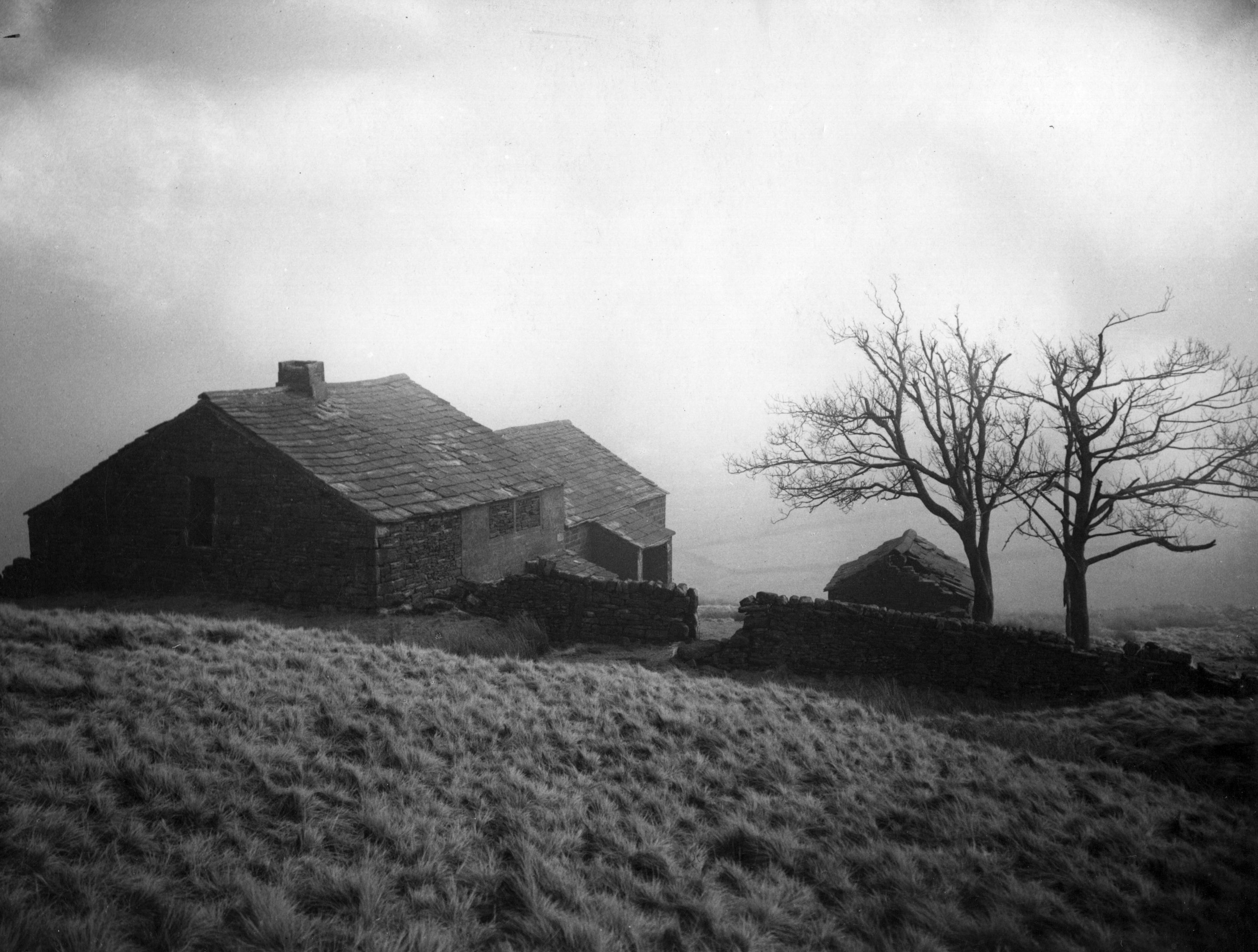 the bronte sisters wuthering heights