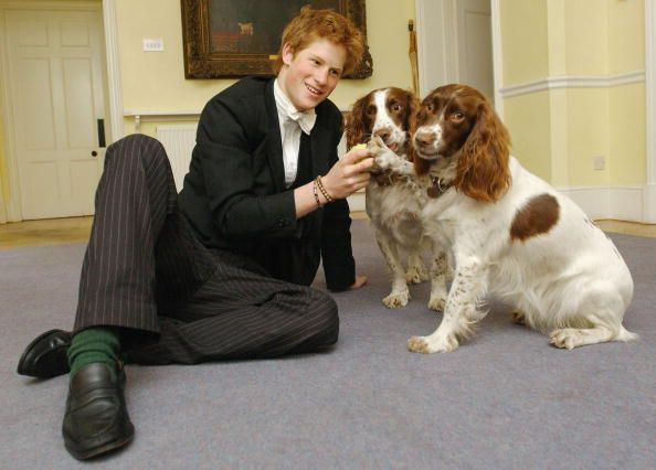 A young Prince Harry