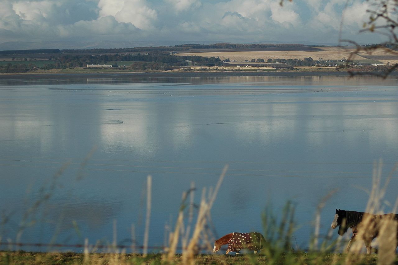 Montrose Basin, Angus. Montrose Basin, Angus.