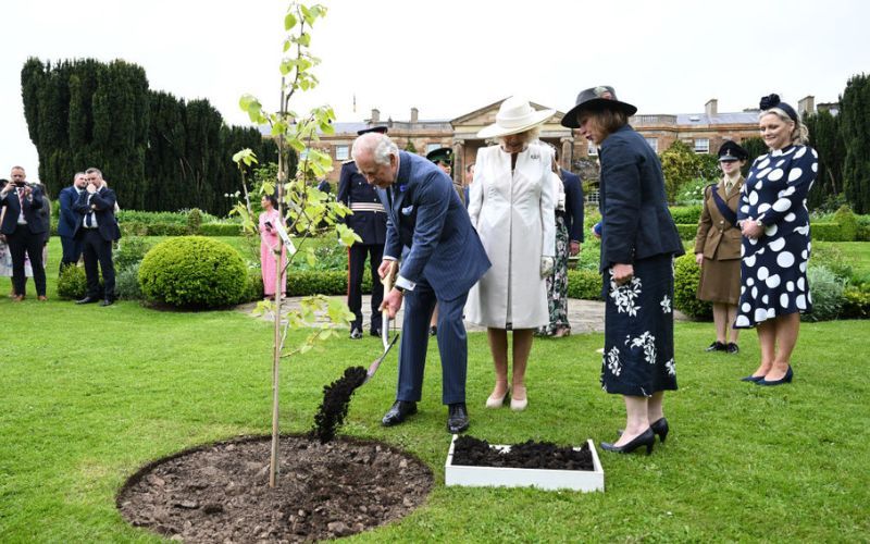 King Charles and Queen Camilla plant a tree at Hillsborough Castle to mark Their Majesties' Coronation. Credit: Getty King Charles and Queen Camilla plant a tree at Hillsborough Castle to mark Their Majesties' Coronation. Credit: Getty