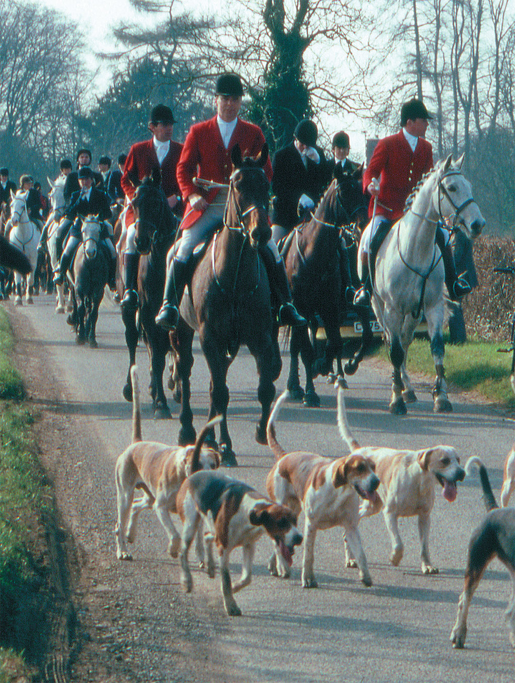 COTSWOLD PHOTO LIBRARY