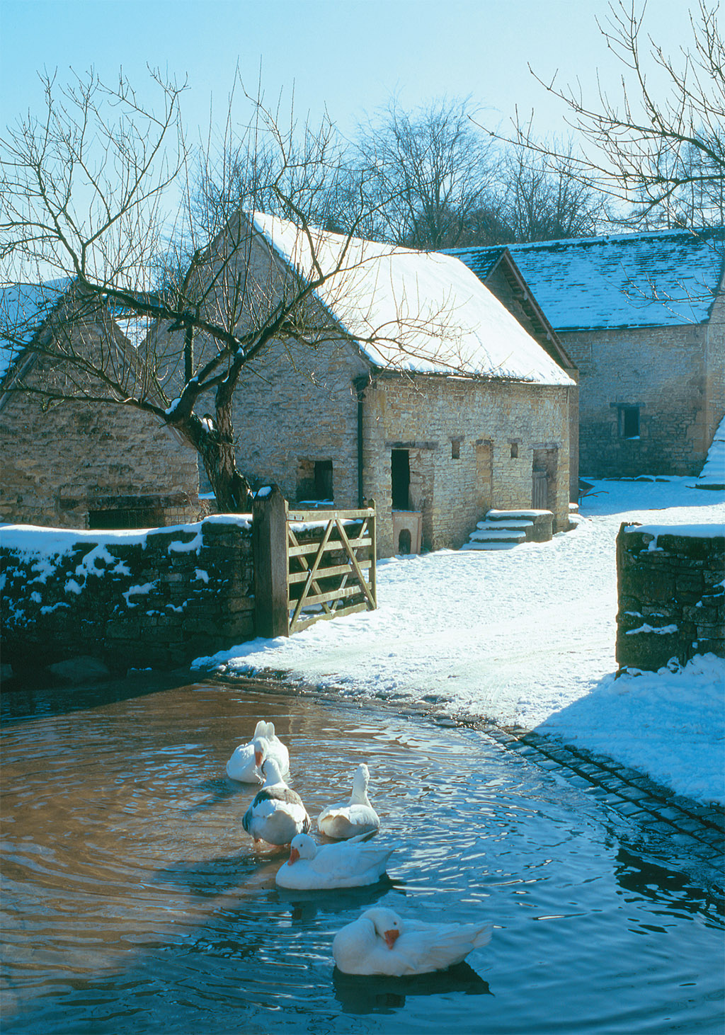 COTSWOLD PHOTO LIBRARY