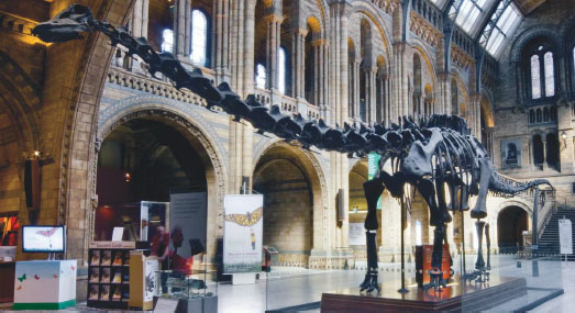 NATURAL HISTORY MUSEUM, LONDON