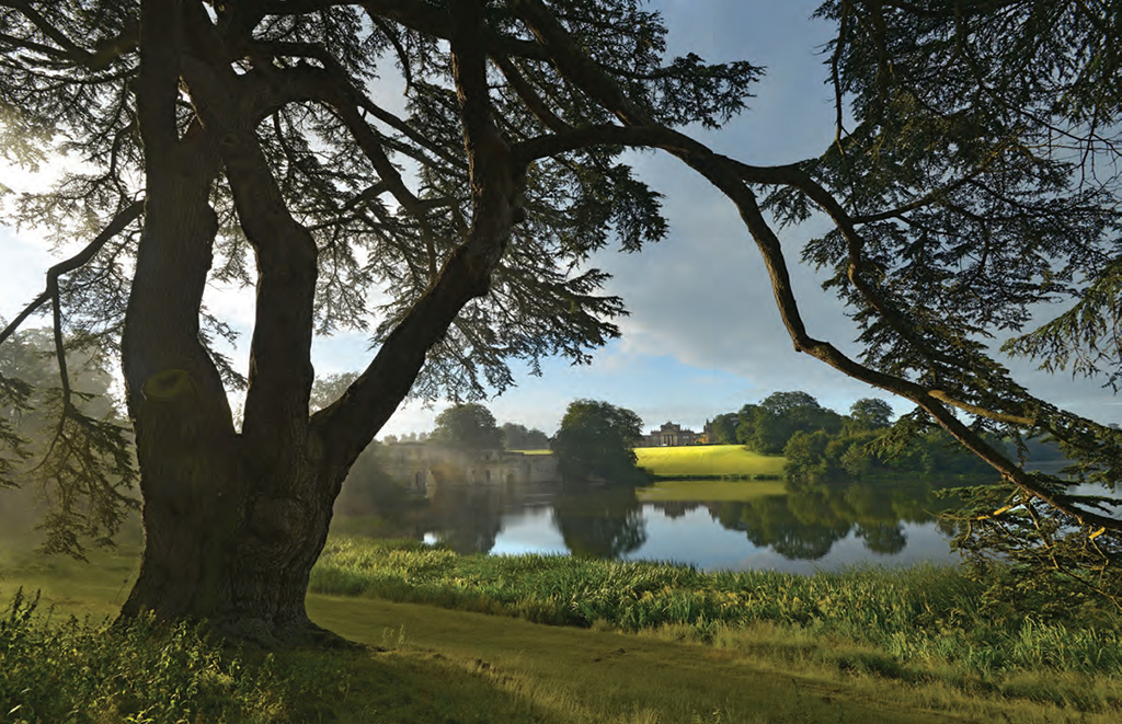 What is known as the “Harry Potter Tree” frames the Vanbrugh’s Grand Bridge and the sweeping vision across the serpentine lake to Blenheim Park. CAPABILITY BROWN FESTIVAL What is known as the “Harry Potter Tree” frames the Vanbrugh’s Grand Bridge and the sweeping vision across the serpentine lake to Blenheim Park. CAPABILITY BROWN FESTIVAL