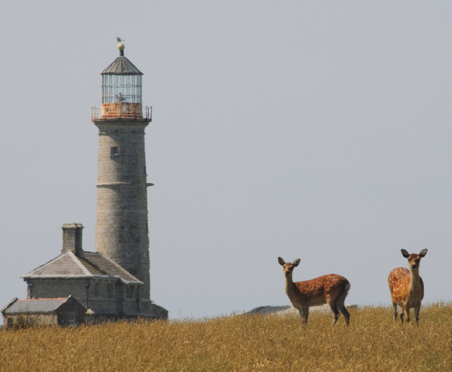 LUNDY ISLAND